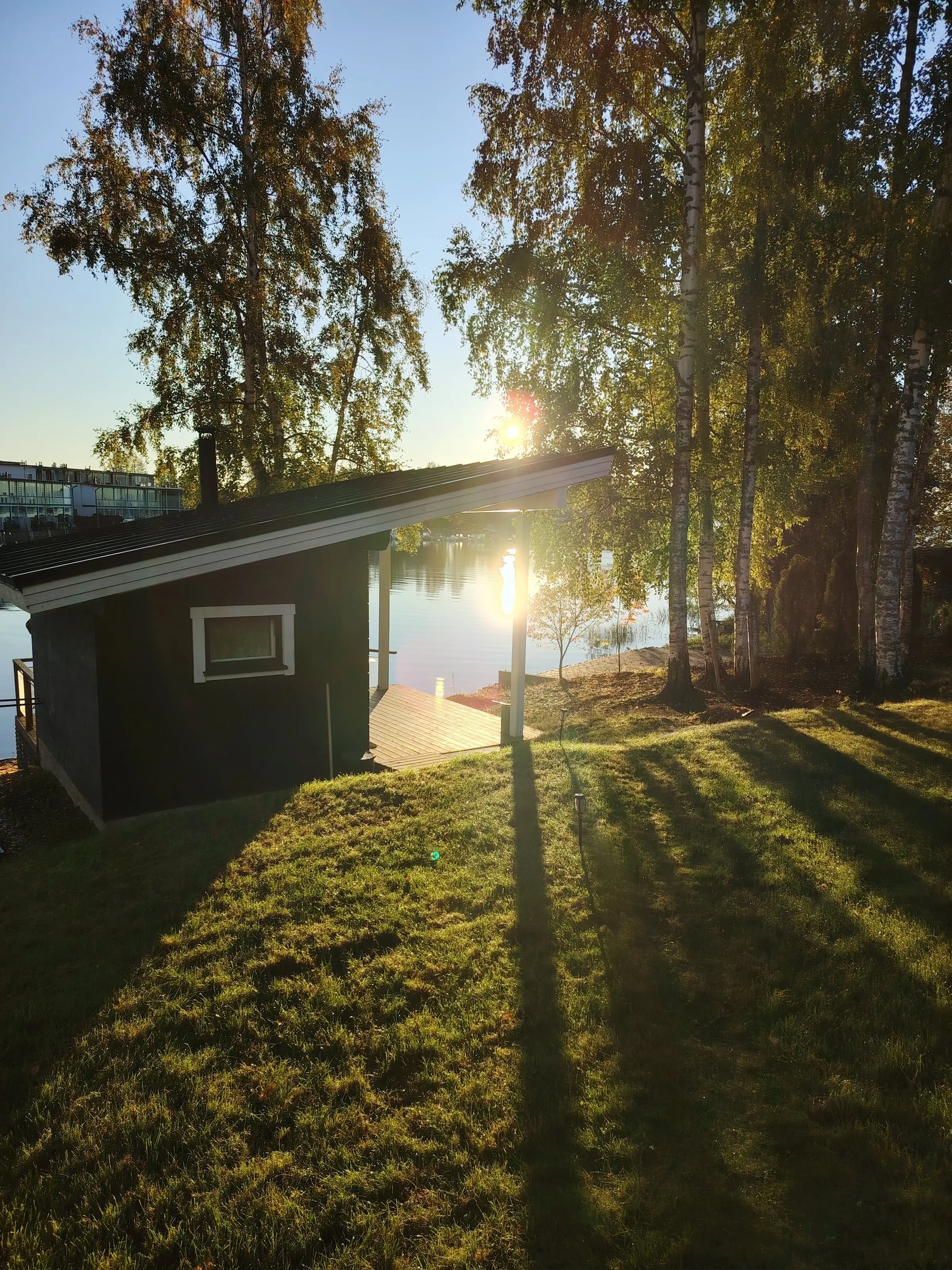 Morning sun behind Rantasauna, with long birch shadows across the lawn.
