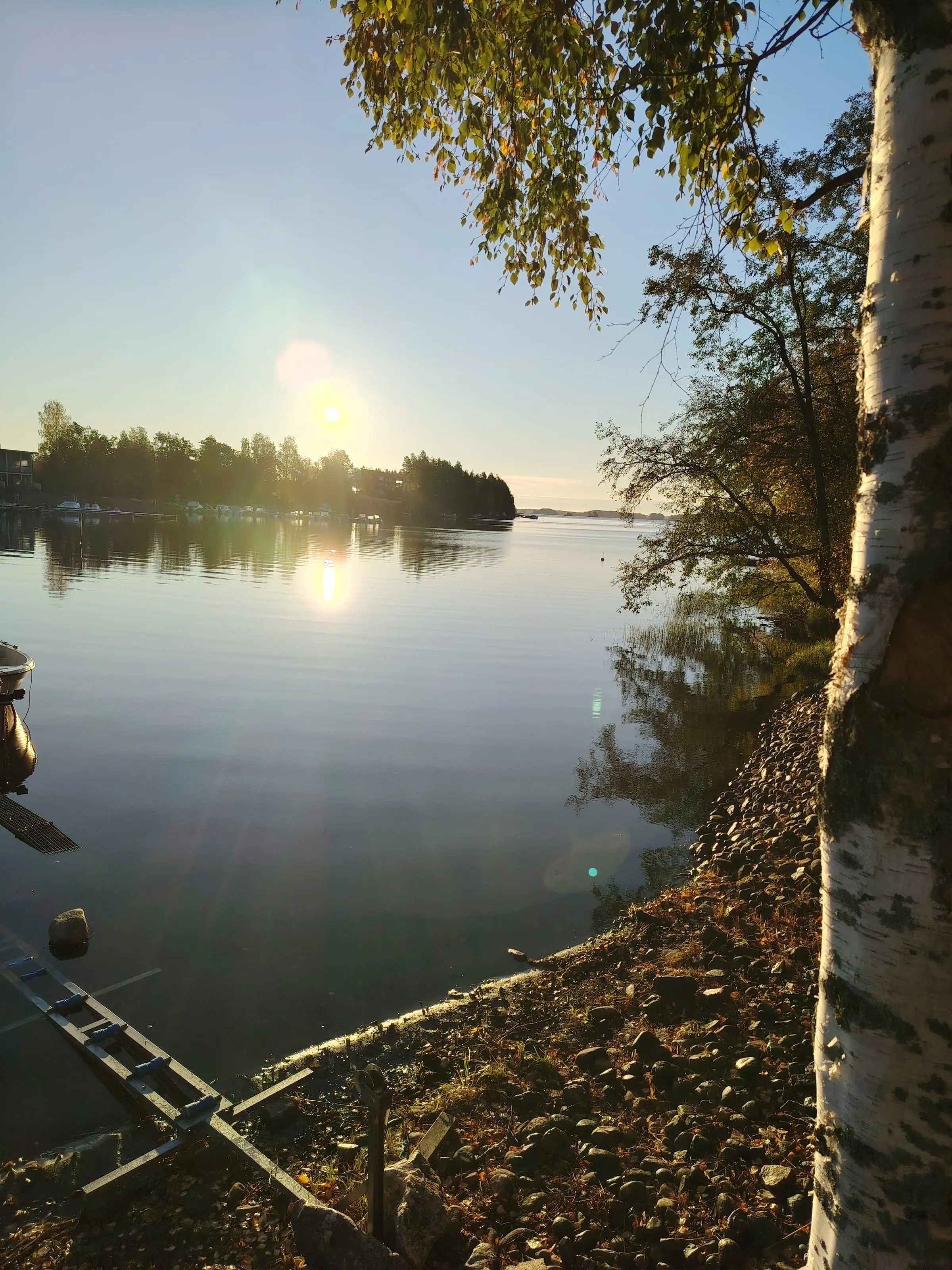Low morning sun over the calm lake, seen past a birch trunk on the stony shore.