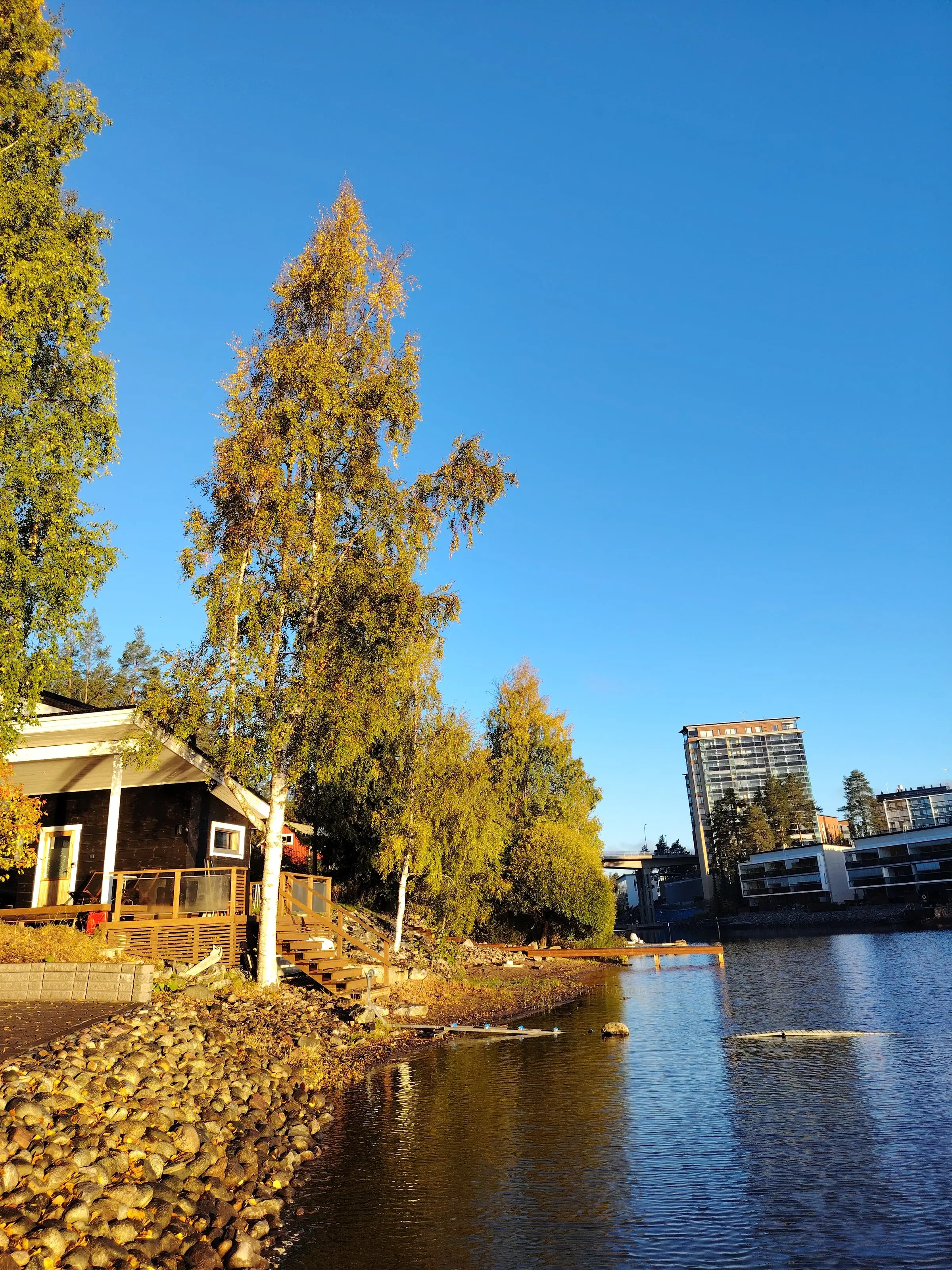 Rantasauna under tall birches on the shore, with the lake and blocks of flats across the water.
