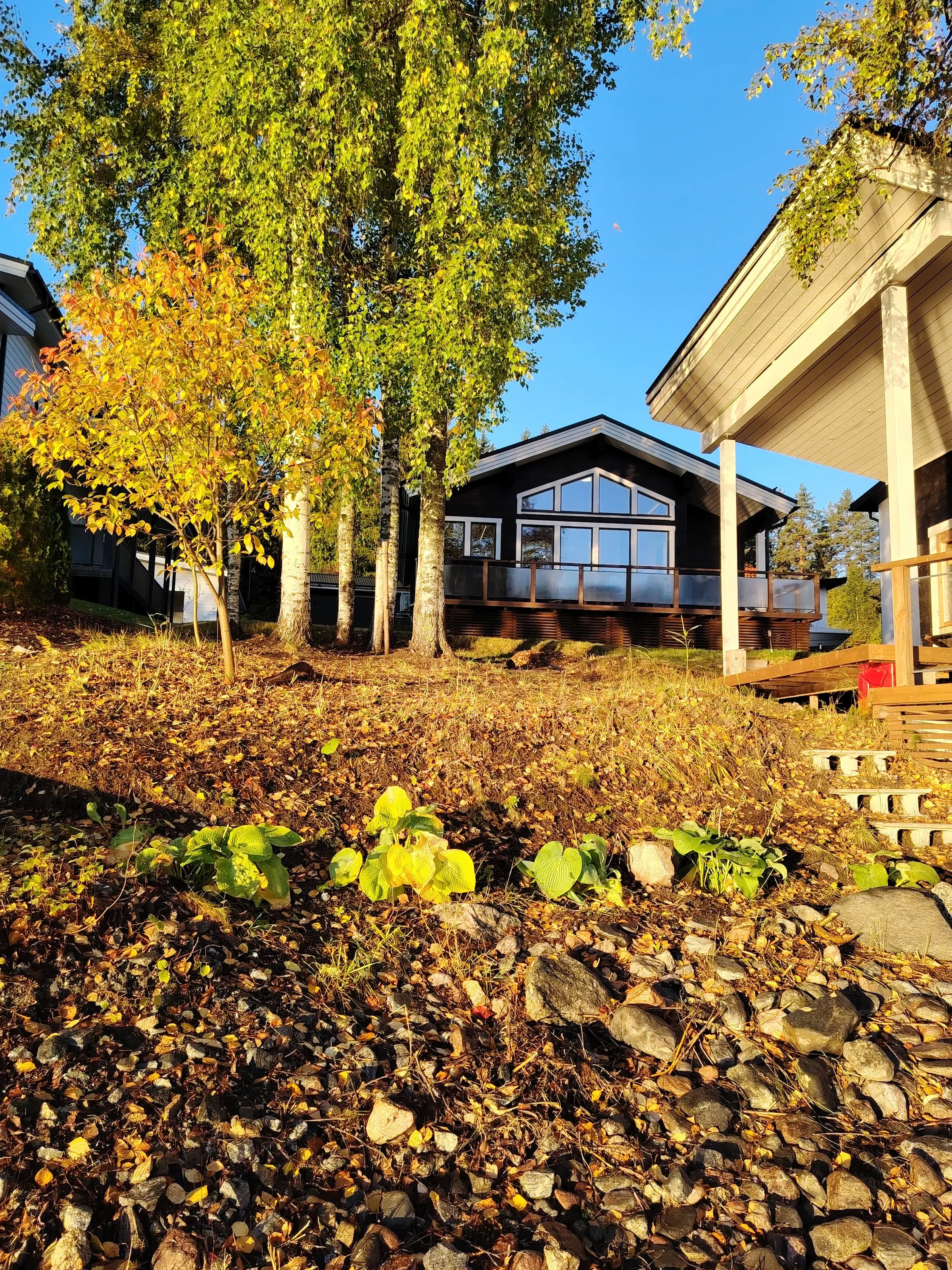 The Villa seen from the shore through birches and autumn colours, with the edge of Rantasauna on the right.